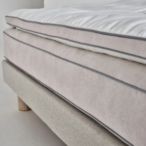 Sophia | Showroom Offer