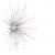 SUNBURST WALL LAMP | EICHHOLTZ BOIVIN
