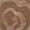 Brun